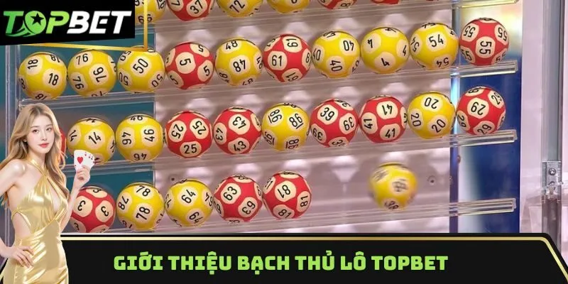 Giới thiệu phương pháp bạch thủ lô TOPBET