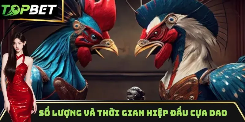 Số lượng và thời gian hiệp đấu đá gà cựa dao